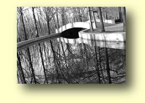 Roosevelt Island Reflections