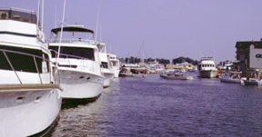 Annapolis Harbor